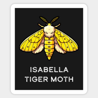 Isabella Tiger Moth Sticker